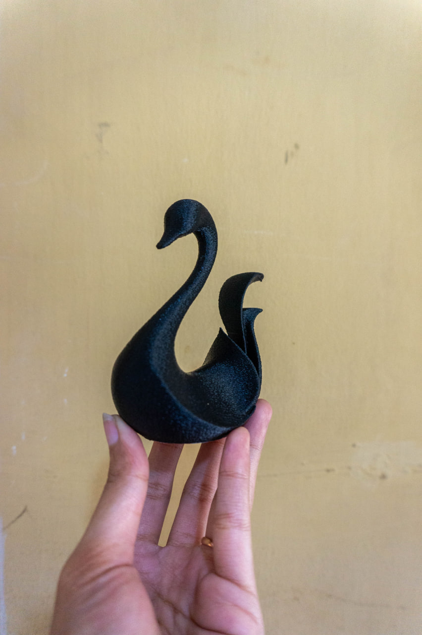 photo_63_2025-11-17_11-40-50