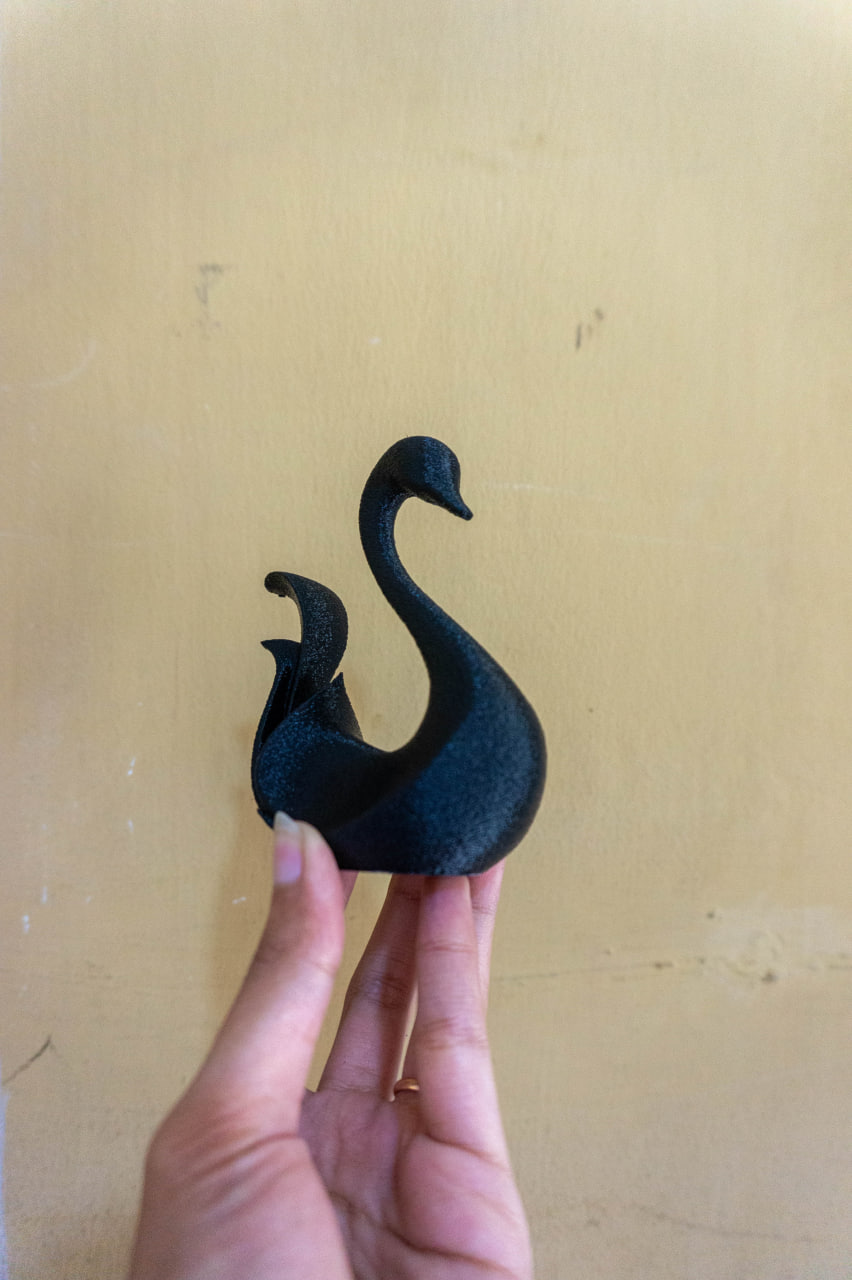 photo_64_2025-11-17_11-40-50